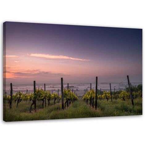 Tableau sur toile Raisins Vignoble Paysage 60x40 (1/5)