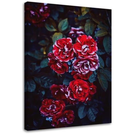 Tableau déco Fleurs Rouge Nature 40x60 (1/5)