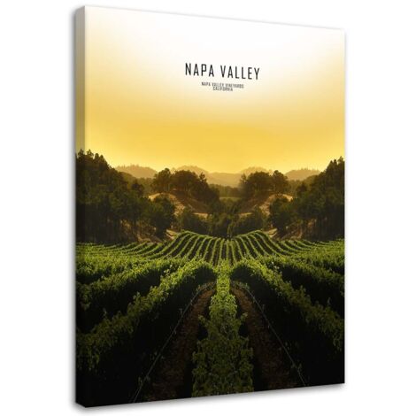 Cadre déco Paysage de la Napa Valley 40x60 (1/5)
