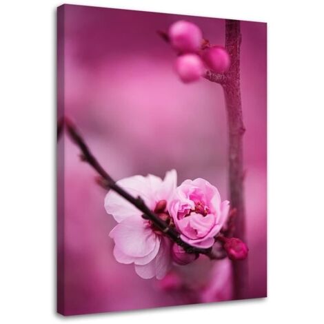 Tableau déco Fleur de pommier rose 40x60 (1/5)