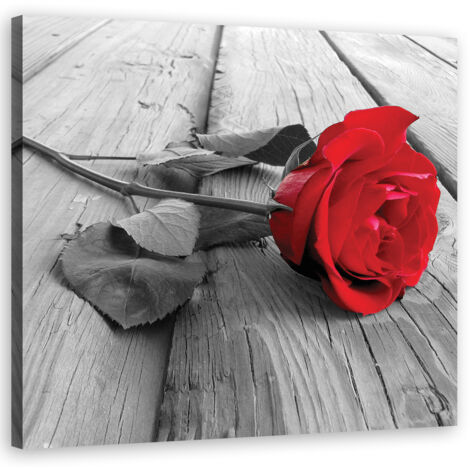 Tableau sur toile rose rouge 40x40 (1/5)