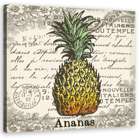 Tableau sur toile Ananas vintage 60x60 (1/5)