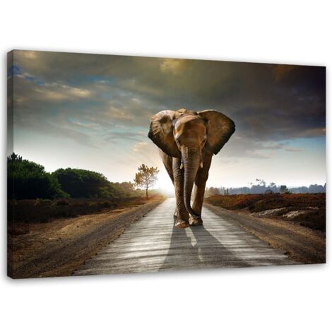 Tableau décoratif Eléphant sur la route Afrique Nature 60x40 (1/5)