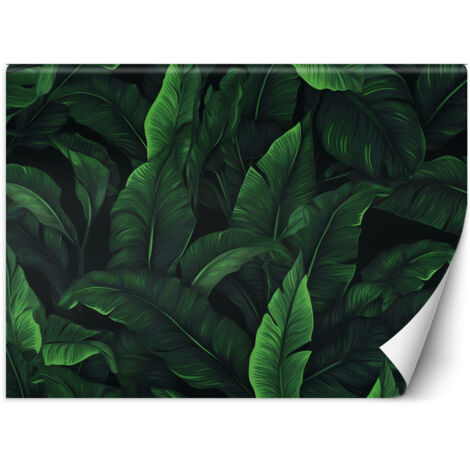 Papier peint Feuilles exotiques en camaïeu de vert 400x280 (1/5)