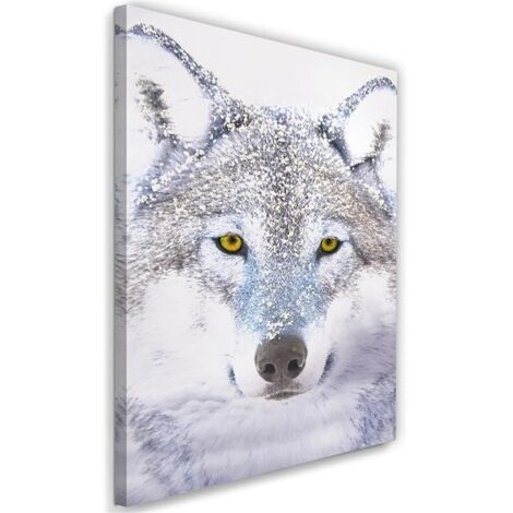 Tableau sur toile Loup Gris Nature Animaux 40x60 (1/5)