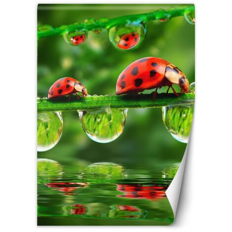 Papier peint Coccinelle sur branches 100x140 (1/5)