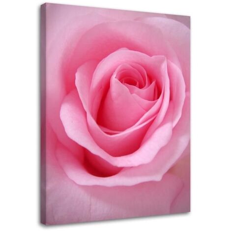 Tableau, Fleur de pétales de roses roses - 40x60 (1/5)