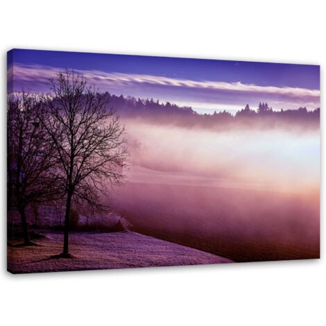 Tableau sur toile Brouillard sur le lac Violet 60x40 (1/5)