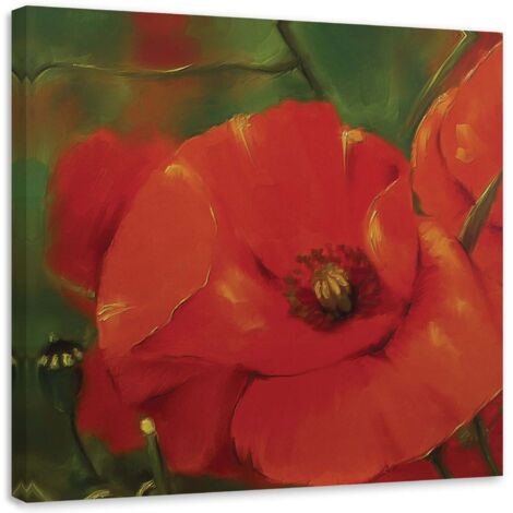 Tableau décoratif Coquelicots rouges Plantes 60x60 (1/5)
