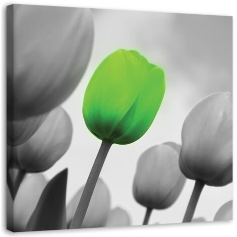 Tableau déco Tulipes Vert Gris 40x40 (1/5)