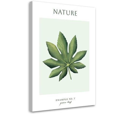 Tableau sur toile Feuille verte - Nature 40x60 (1/5)
