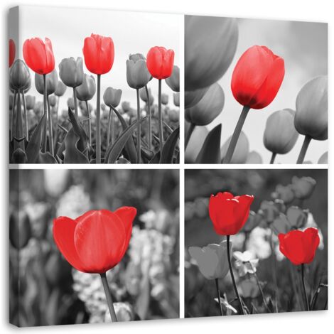 Tableau sur toile Set de tulipes rouges 30x30 (1/5)