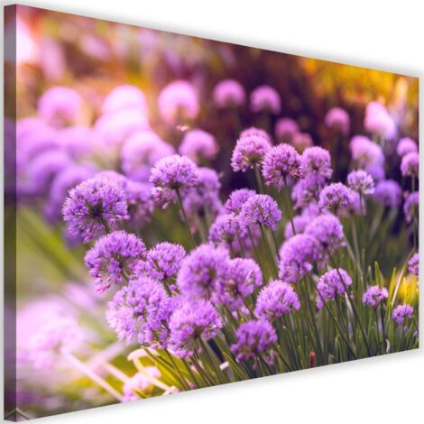 Image sur toile, Jardin Pourpre - 60x40 (1/5)