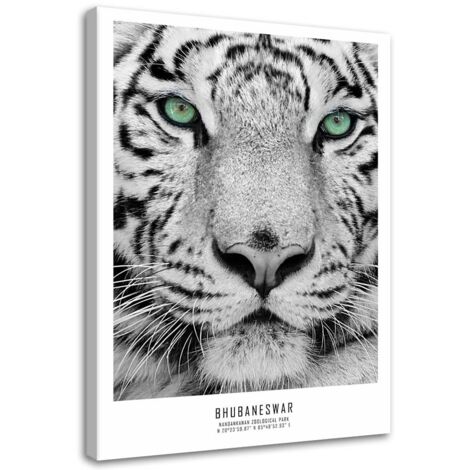 Tableau sur toile Afrique Tigre Animaux 40x60 (1/5)