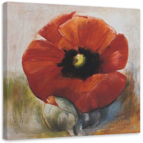 Tableau déco Coquelicot Fleurs Acrylique 50x50 (1/5)