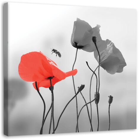 Tableau sur toile Coquelicots rouges 30x30 (1/5)