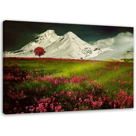 Tableau sur toile montagne paysage nature 60x40 (1/5)