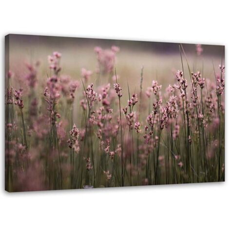 Cadre déco Fleurs des champs Rose Nature 100x70 (1/5)