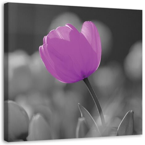 Tableau décoratif Fleurs de tulipes Lila 40x40 (1/5)