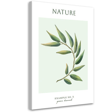 Tableau sur toile Branche verte - Nature 60x90 (1/5)