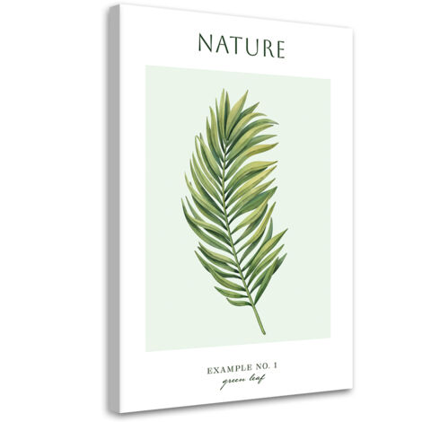 Tableau sur toile Feuille verte - Nature 40x60 (1/5)