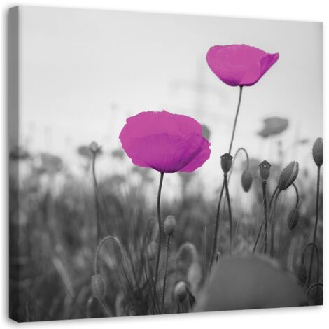Cadre déco Champ de coquelicots lilas 40x40 (1/5)