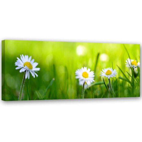 Cadre déco Fleur de l'oie Vert Herbe 90x30 (1/5)