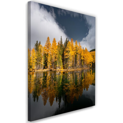 Tableau déco Arbres de la forêt d'or paysage 60x90 (1/5)