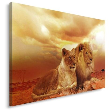 Tableau sur toile Lions Animaux Afrique Marron 60x40 (1/5)
