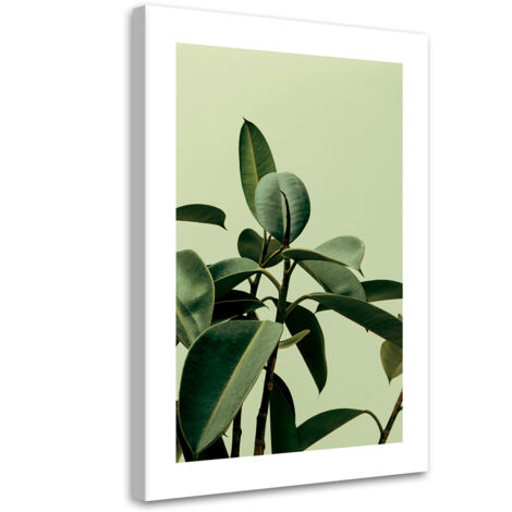 Tableau sur toile Plante verte nature 60x90 (1/5)