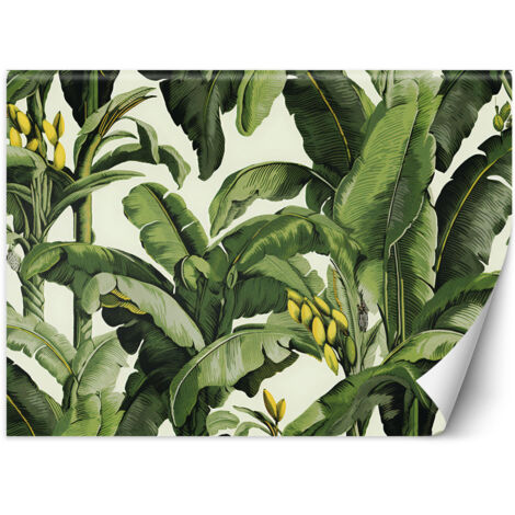 Papier peint Feuilles de bananier vertes 200x140 (1/5)