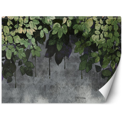 Papier peint Feuilles sur fond de béton 150x105 (1/5)