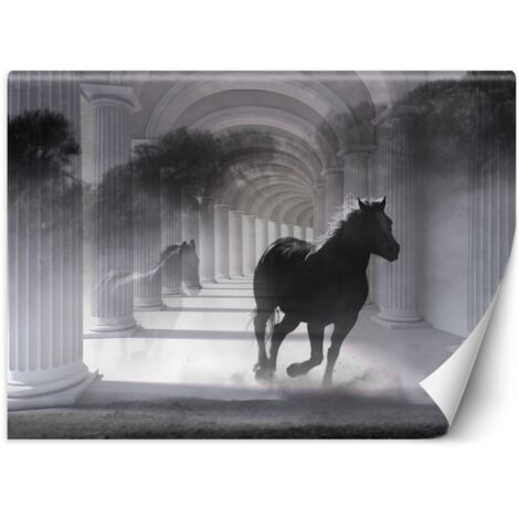 Papier peint Cheval Tunnel 3D Colonnes Gris 250x175 (1/5)