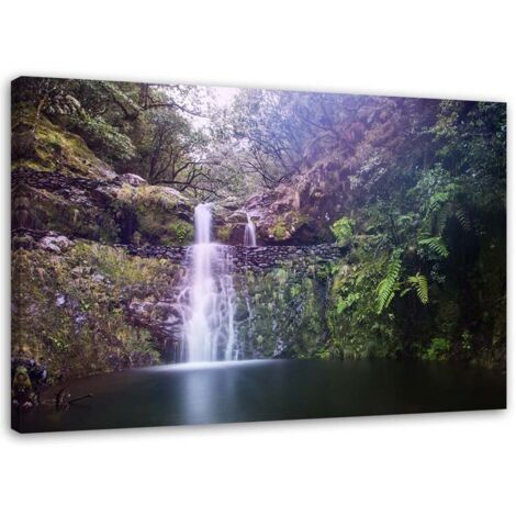 Tableau sur toile Cascade forêt nature 60x40 (1/5)