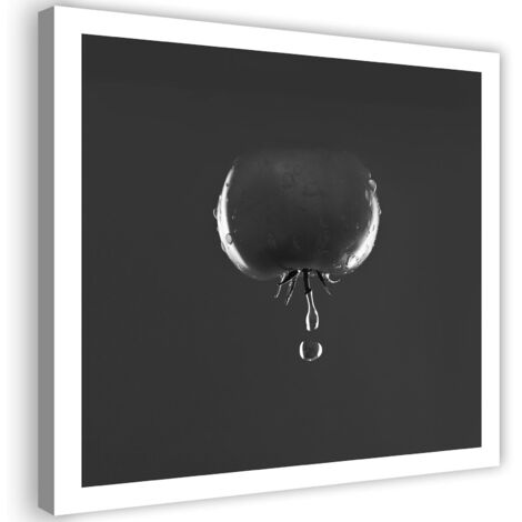 Tableau sur toile Gouttes d'eau tomate-légumes 60x60 (1/5)
