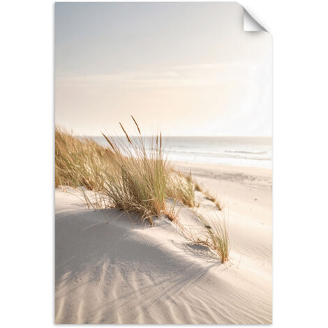 Poster autocollant Plage mer dunes nature plantes 80x120 (1/3)