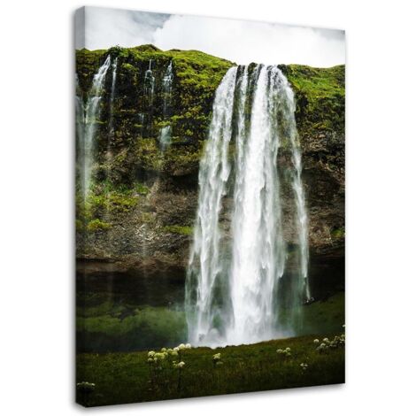 Tableau sur toile Cascade Forêt Nature Montagne 40x60 (1/5)