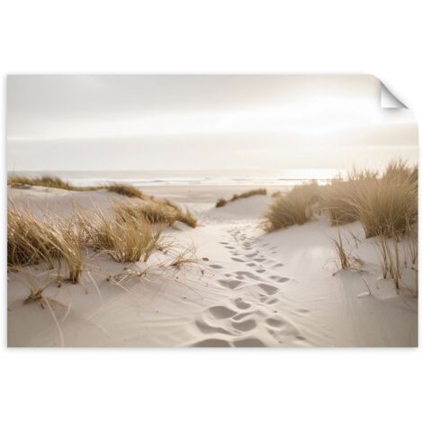 Autocollant Film Plage mer plantes dunes nature 45x30 (1/3)