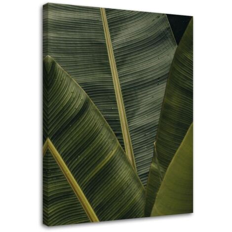 Tableau sur toile Feuilles de bananier Nature 60x90 (1/5)