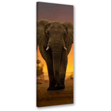 Tableau sur toile Éléphant dans le désert 30x90 (1/5)
