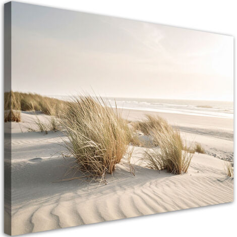 Tableau déco Plage mer dunes nature plantes 60x40 (1/4)