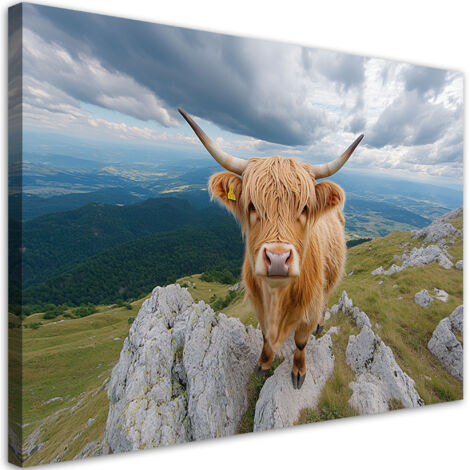 Tableau déco Vache écossaise des hautes terres Vache rocheuse Montagne 100x70 (1/5)
