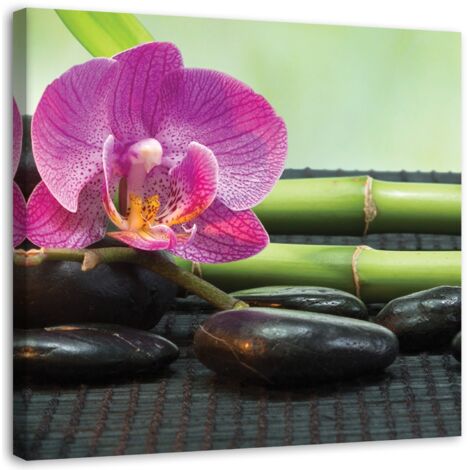 Tableau décoratif Spa Fleurs d'orchidée zen 50x50 (1/5)