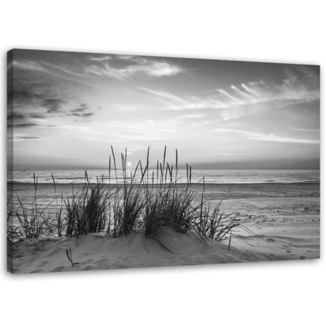 Image sur toile, Herbes sur la plage - noir et blanc - 60x40 (1/5)