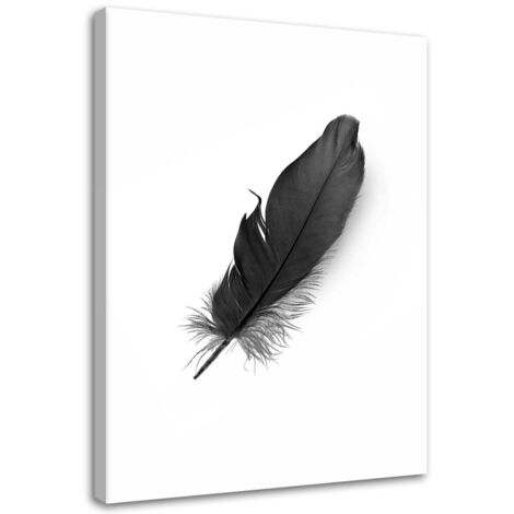 Tableau décoratif Plume Noir Nature 40x60 (1/5)
