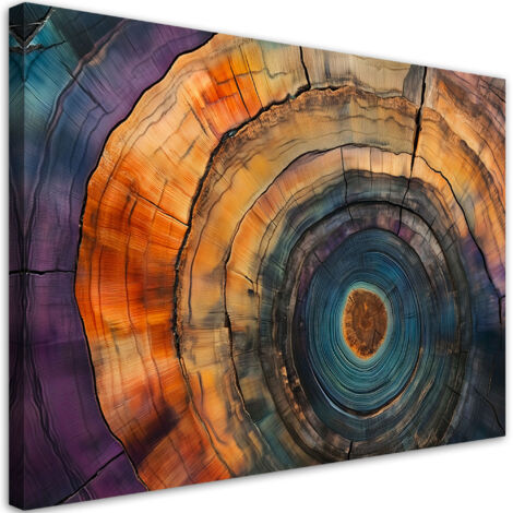 Tableau déco Arbre coloré Anneaux Abstraction 60x40 (1/5)