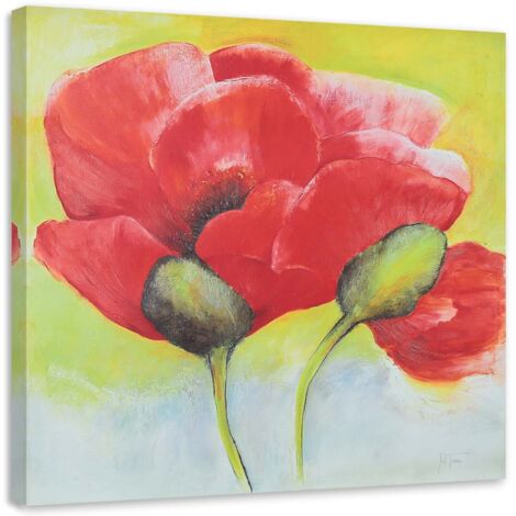 Tableau sur toile Coquelicots rouges Nature 40x40 (1/5)