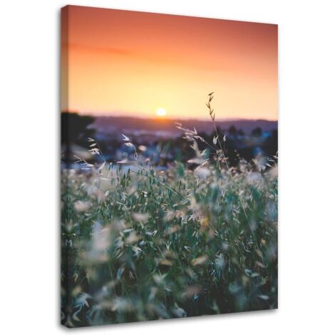 Cadre déco Prairie Coucher de soleil Nature 40x60 (1/5)