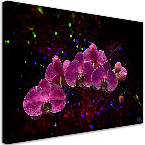 Tableau sur toile Orchidée sur fond sombre 90x60 (1/5)