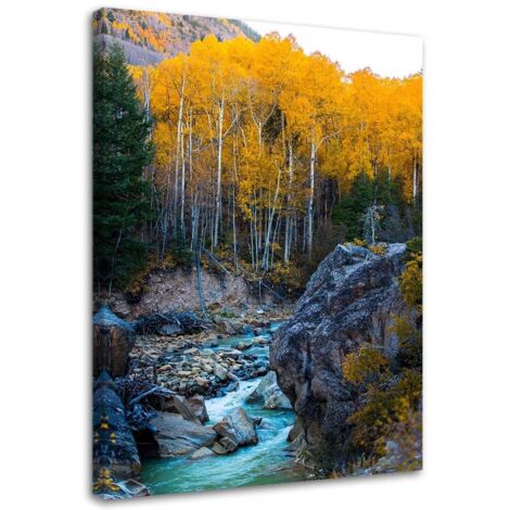 Tableau sur toile Ruisseau Forêt Nature Jaune 40x60 (1/5)